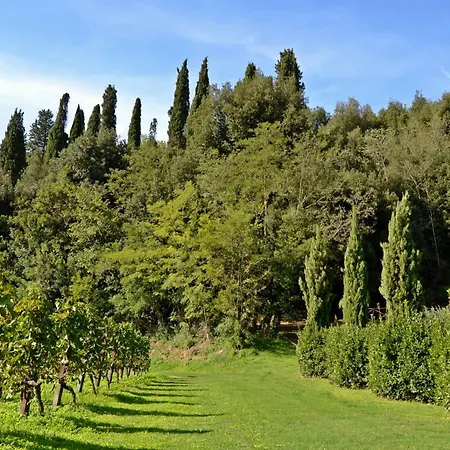 Apartamento Cevoli Country
