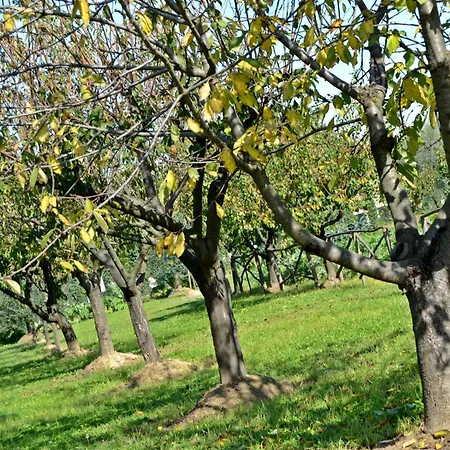 Apartamento Cevoli Country Lari