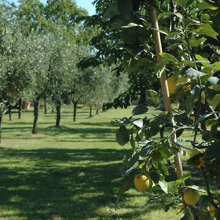 Cevoli Country Apartamento Lari