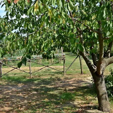 Cevoli Country *