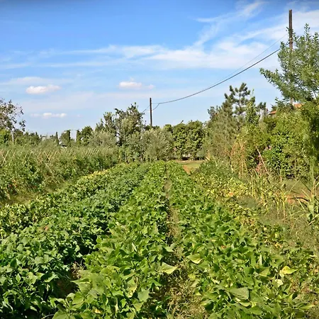 Cevoli Country Apartamento Lari