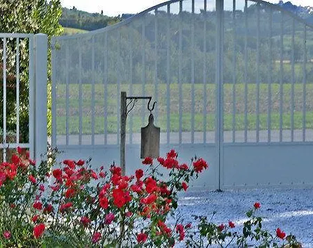 Cevoli Country Lari