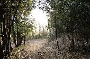 切沃利乡村度假酒店 公寓