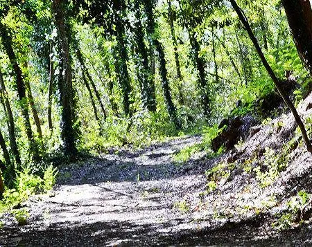 切沃利乡村度假酒店 * Lari