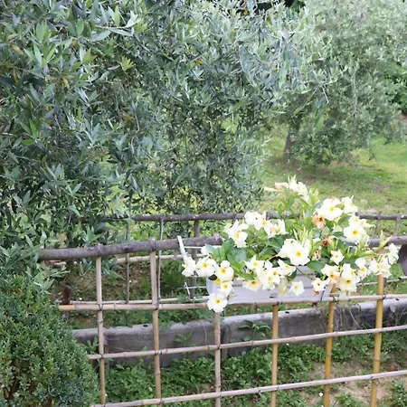 Cevoli Country Apartment