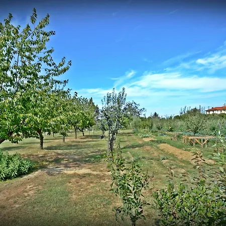 Apartment Cevoli Country
